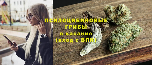 сатива Кукмор