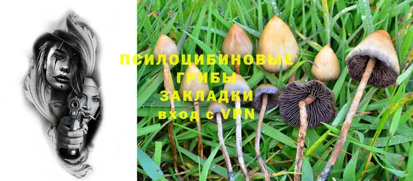 сатива Кукмор