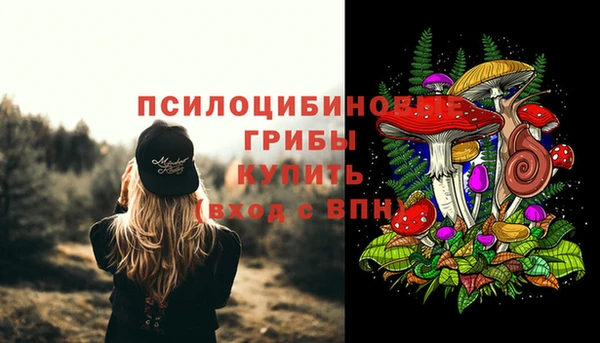 дурь Кулебаки