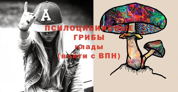 сатива Кукмор