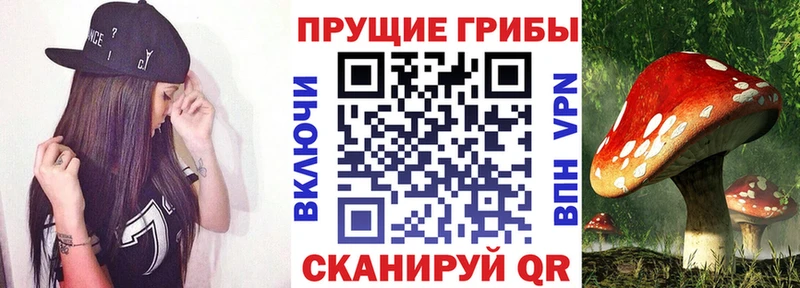 Купить закладки  Лянтор  Псилоцибиновые грибы ЛСД 